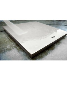 PLATAFORMA SERIE WPI DISEÑADA PARA AMBIENTES DE EXTREMA... 2