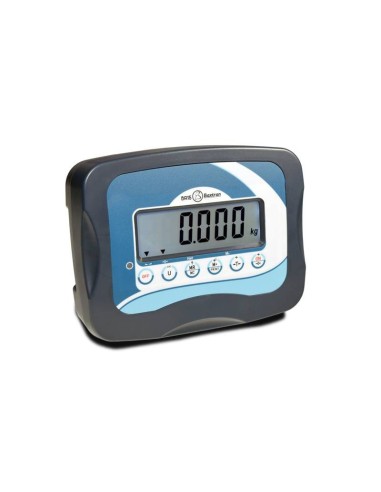 BASCULA SERIE BVS IDEAL PARA EMPOTRAR EN FOSO.