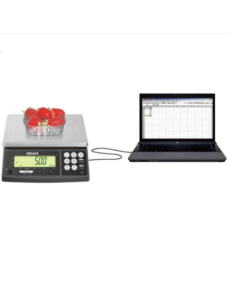 BALANZA SERIE RZ SOLO PESO PRÁCTICA Y CON TOTAL CONECTIVIDAD
