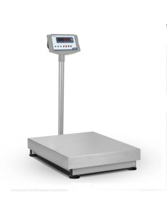 BASCULA INDUSTRIAL SERIE RX CON COLUMNA