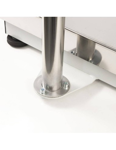 BASCULA INDUSTRIAL SERIE RX CON COLUMNA