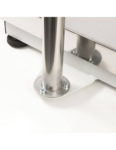 BASCULA INDUSTRIAL SERIE RX CON COLUMNA