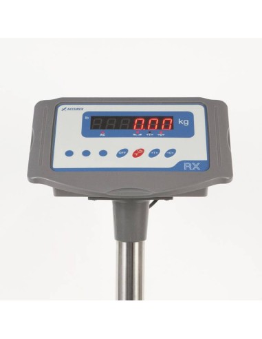 BASCULA INDUSTRIAL SERIE RX CON COLUMNA