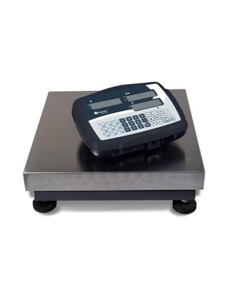 BASCULA INDUSTRIAL BMM CON VISOR CUENTAPIEZAS TC15