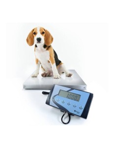 BASCULA BAXTRAN SERIE AIS PARA ANIMALES Y PAQUETERIA