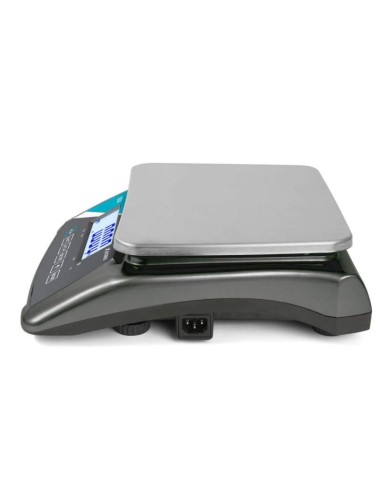 BALANZA SERIE DSX FUNCION CONTROL DE PESO