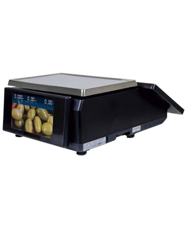 TouchScale 10RL 10.4" Linux