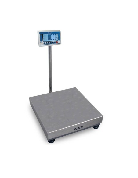 BASCULA BAXTRAN HOMOLOGADA SERIE MR CON ESTRUCTURA EN ACERO PINTADO.