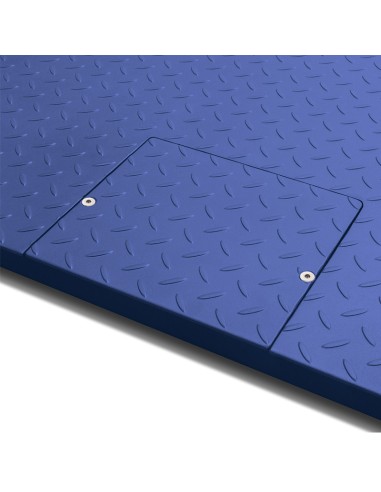 BASCULA SERIE TX TIGER DE SUELO RESISTENTE Y...