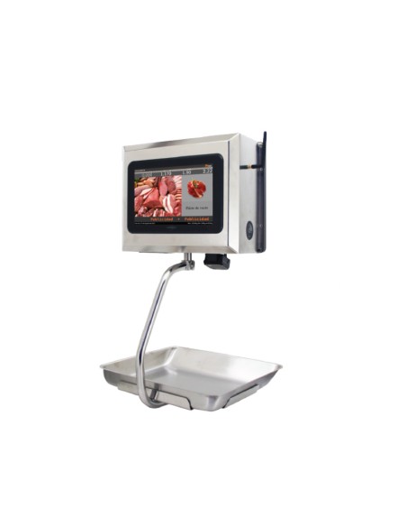 BALANZA MARQUES SERIE BM5 ARM COLGANTE CON IMPRESORA DE TICKET Y CON VERIFACTU.