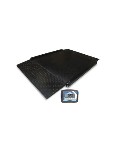 BASCULA INDUSTRIAL SERIE BVL CON RAMPAS VÁLIDA PARA METROLOGÍA LEGAL.