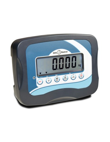 BASCULA INDUSTRIAL SERIE BVL CON RAMPAS VÁLIDA...