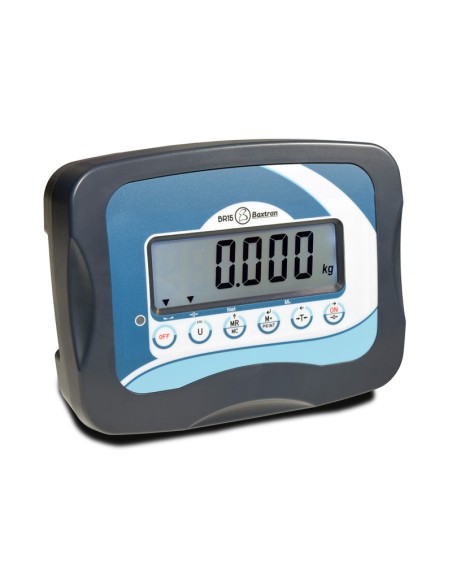 BASCULA INDUSTRIAL SERIE BVL CON RAMPAS VÁLIDA PARA METROLOGÍA LEGAL.