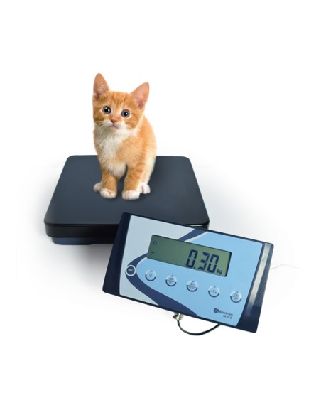 BASCULA INDUSTRIAL APS IDEAL PARA PESAJES DE ANIMALES Y PAQUETERIA