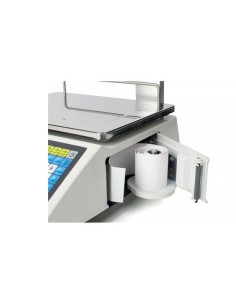 BALANZA COMERCIAL CAS SERIE CT100 CON IMPRESORA 2