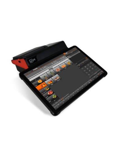 TPV PORTATIL POS WIDE FBX-11