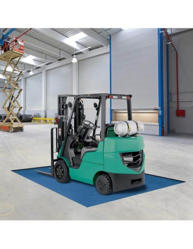 Báscula de plataforma para emotrar en fosa suelo Mamut de Gram