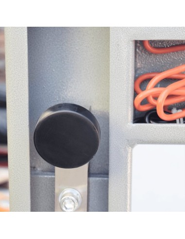 Transpaleta pesa palet barata ZFU de Baxtran precio