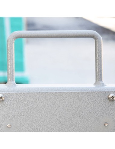 Transpaleta barata ZFU de Baxtran precio