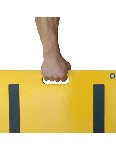 Báscula pesa vehículos comprar barato PR de Gram