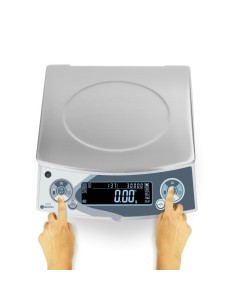 Balanza de precisión ABS precio comprar 2
