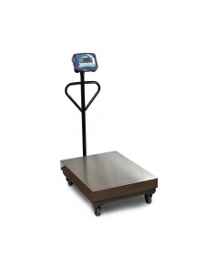 BÁSCULA INDUSTRIAL CON COLUMNA SERIE BFZ