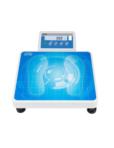 BASCULA DE PRECISIÓN SERIE C315